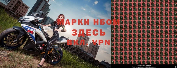 ПСИЛОЦИБИНОВЫЕ ГРИБЫ Осинники