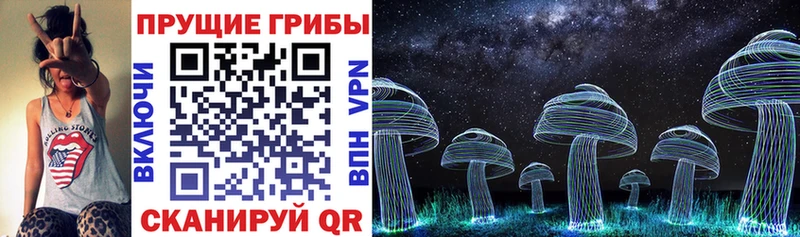 Псилоцибиновые грибы Psilocybe  Нижние Серги 